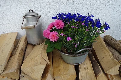 Ferienwohnung Lieblingsplatz