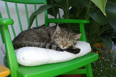 Ferienwohnung Lieblingsplatz