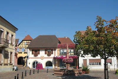 Gîte traditionnel au cœur du vignoble