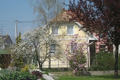 Gîte traditionnel au cœur du vignoble