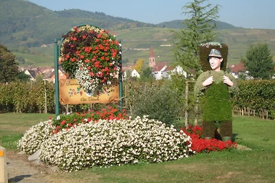 Gîte traditionnel au cœur du vignoble