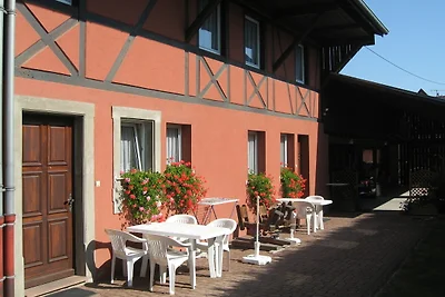 Au cœur du vignoble