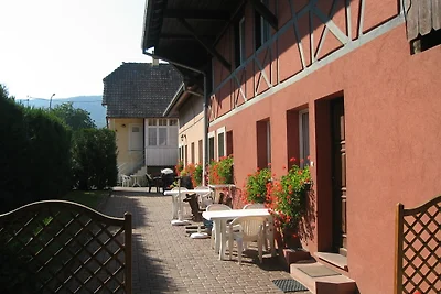 Au cœur du vignoble