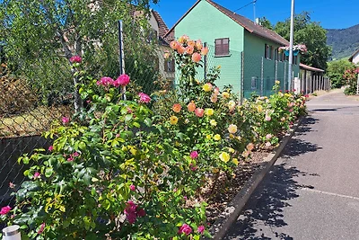 Gîte traditionnel au cœur du vignoble