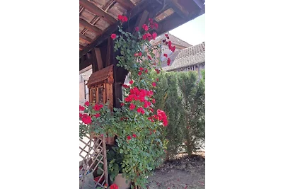 Au cœur du vignoble