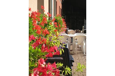 Au cœur du vignoble