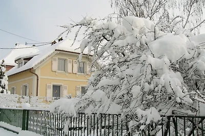 Gîte traditionnel au cœur du vignoble