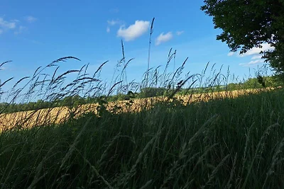 Landhaus Moeller Fewo 3