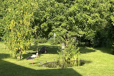 Ferienhaus Spreewald Auszeit