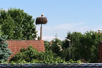 SPREEWALDHAUS AUSZEIT