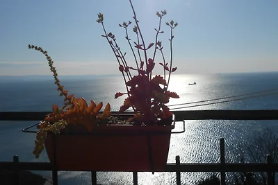 APARTMENT TRIESTE NATASCIA