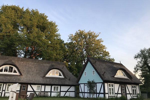 Ferienwohnung Bodstedt