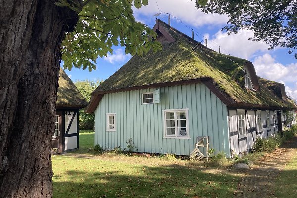Ferienwohnung Bodstedt