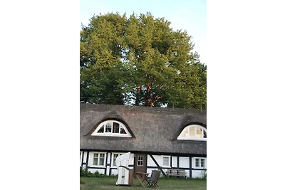 Fischerkoje in der alten Fischerei