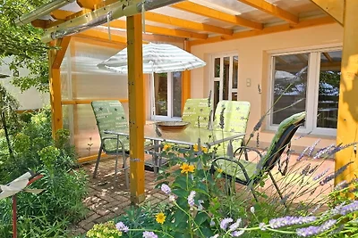 Romsics Pince Ferienhaus - Nr. 219