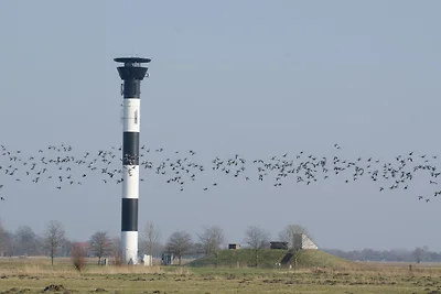 "Am Elskoper Gärtchen"