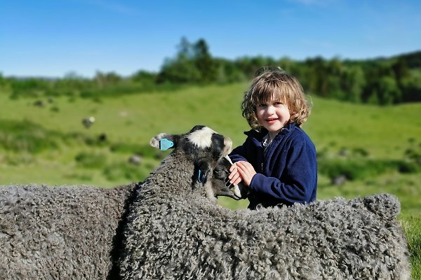 Vakantiehuis Telemark