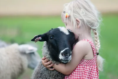 Idyllischer Bauernhof in Norwegen