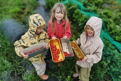 Idyllischer Bauernhof in Norwegen