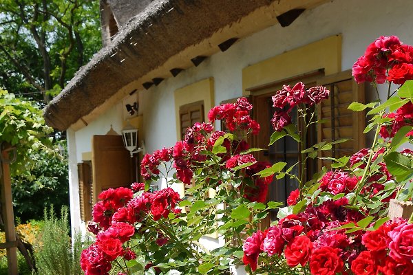 Ferienhaus Szigliget