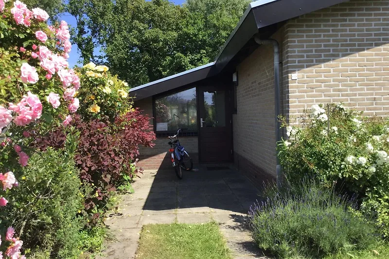 Großer Garten nach Süden, Osten und Westen