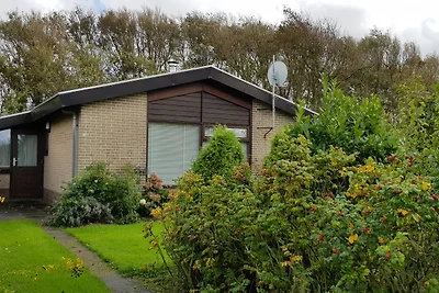 Ferienhaus Zeehond, Julianadorp