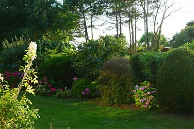 Ferienhaus Zeehond, Julianadorp