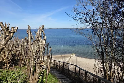 Ferienhaus Vesterskov