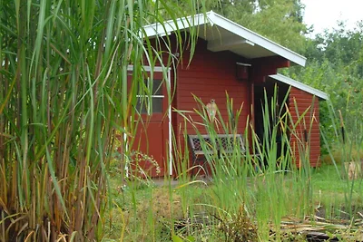 Ferienhaus Vesterskov