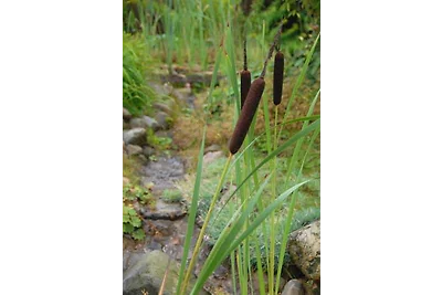 Ferienhaus Vesterskov