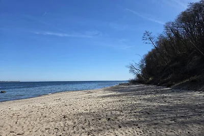 Ferienhaus Vesterskov