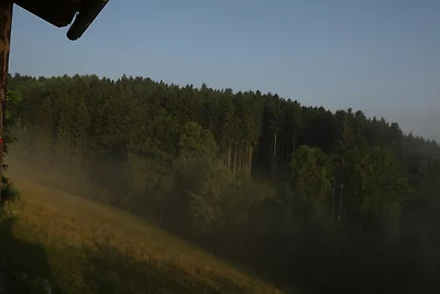 Blaues Stelzenhäuschen