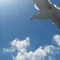 Familie C. Hanenberg-Burger