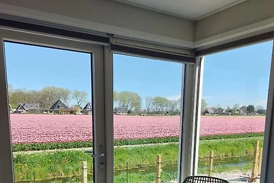 Casa vacanze Vacanza di relax Sint Maartensvlotbrug