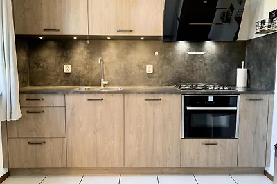 Campanula 54