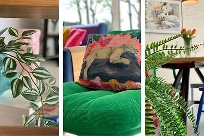 Casa vacanze Vacanza di relax Sint Maartensvlotbrug