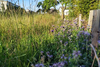 Oaza ogrodowa nad jeziorem kąpielowym
