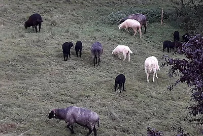Ferienwohnung Huglfing Alpen Blick