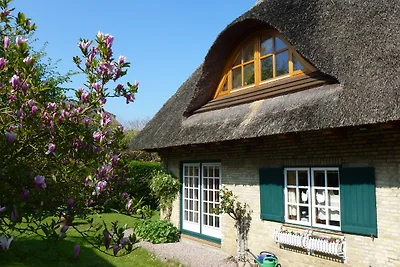 Landhaus unter dem Reetdach