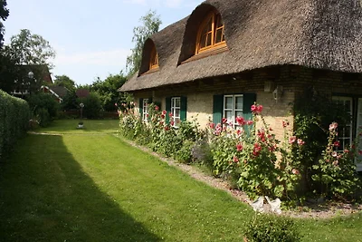 Landhaus unter dem Reetdach
