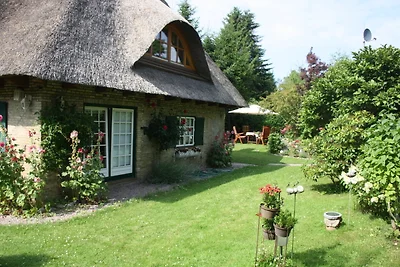 Landhaus unter dem Reetdach