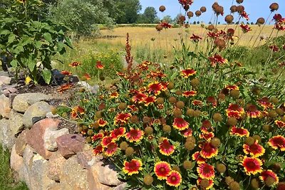Reethaus Strandgut mit Meerblick