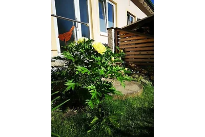 Apartament Dla rodzin Ilmmünster