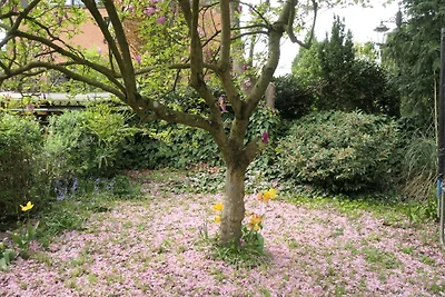 Wohnen am Schönwasserpark