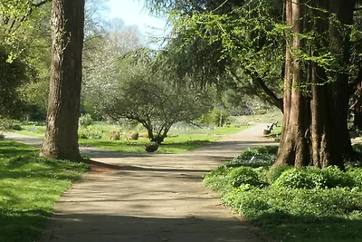 Wohnen am Schönwasserpark