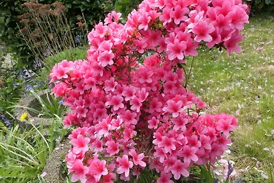 Wohnen am Schönwasserpark