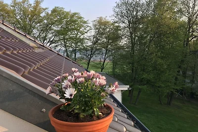 Ferienwohnung "Grüner Horizont"