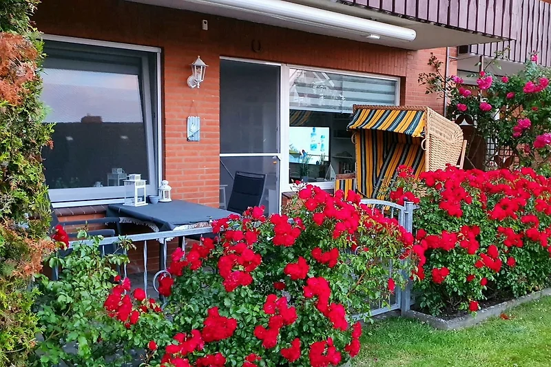 Eingezäunte Terrasse mit gemütlichem Strandkorb für Zwei