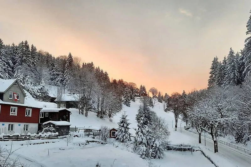 Verschneite Berghütte am Waldrand mit Blick auf Tannen und Skipiste.