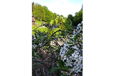 Gemütliche FEWO am Gottesberg